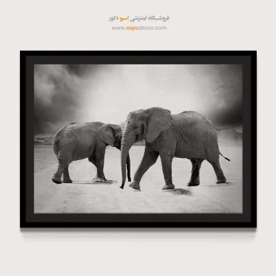 تابلو چاپی سیاه و سفید لوکس - زیر آسمان – تابلو سیاه و سفید - اسپو دکور