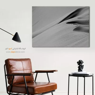 تابلو بوم سیاه و سفید آنلاین