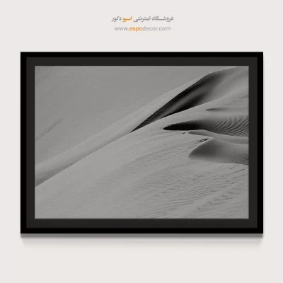 تابلو بوم سیاه و سفید آنلاین