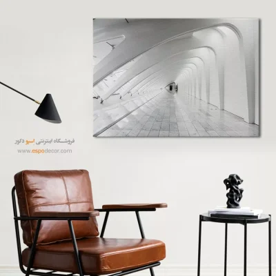 تابلو با رنگ روشن - تالار سفید – تابلو سیاه و سفید - اسپو دکور