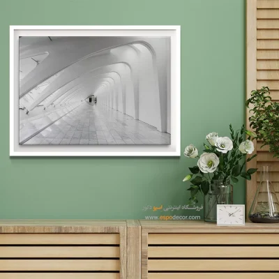 تابلو با رنگ روشن - تالار سفید – تابلو سیاه و سفید - اسپو دکور