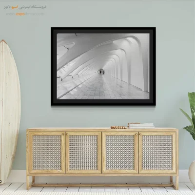 تابلو با رنگ روشن - تالار سفید – تابلو سیاه و سفید - اسپو دکور