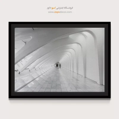 تابلو با رنگ روشن - تالار سفید – تابلو سیاه و سفید - اسپو دکور