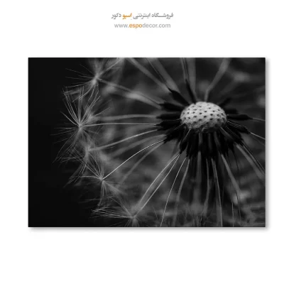 خرید تابلو سیاه و سفید ارزان
