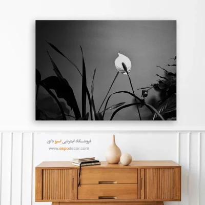 تابلو بوم سیاه و سفید زیبا - درخشش صلح – تابلو سیاه و سفید - اسپو دکور