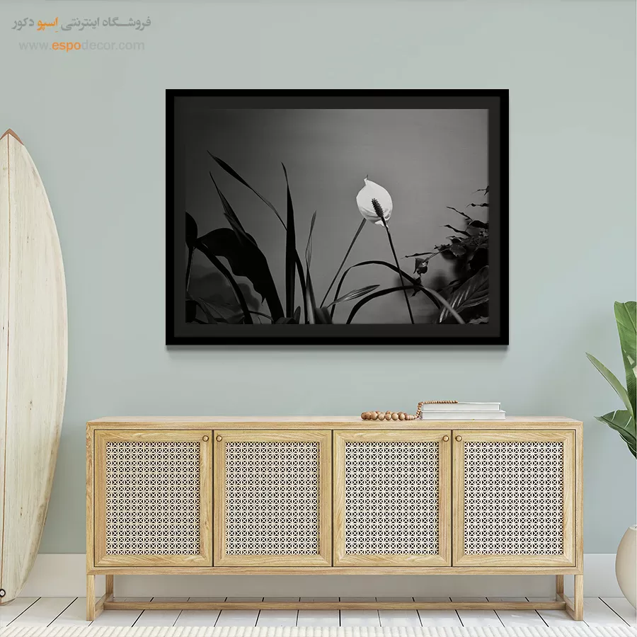 تابلو بوم سیاه و سفید زیبا - درخشش صلح – تابلو سیاه و سفید - اسپو دکور