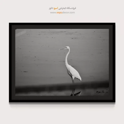 خرید اینترنتی تابلو بوم جدید