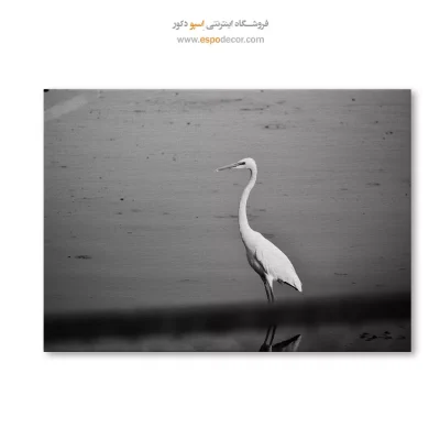 خرید اینترنتی تابلو بوم جدید