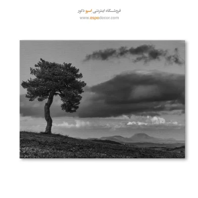 طرح خاص خرید اینترنتی تابلو بوم مخصوص پذیرایی