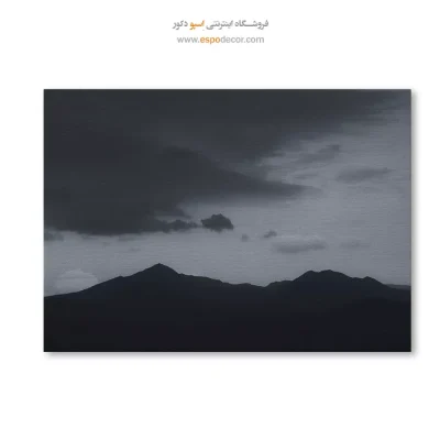 تابلو فانتزی سیاه و سفید شیک