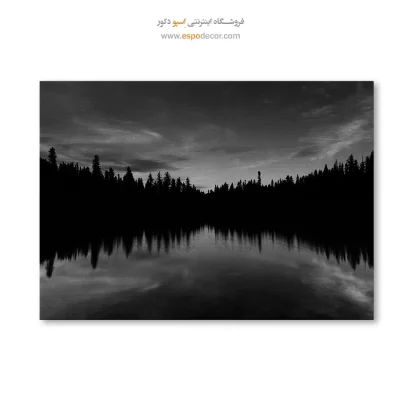 تابلو بوم مینیمال آنلاین