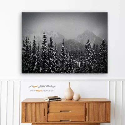 تابلو بوم مینیمال ارزان دکور منزل
