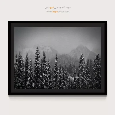 تابلو بوم مینیمال ارزان دکور منزل