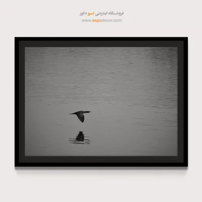 تابلو بوم قیمت تابلو سیاه و سفید ارزان