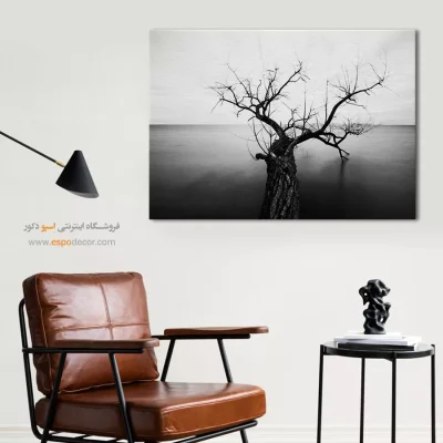 تابلو هنری سیاه و سفید مخصوص پذیرایی - سکون ابدی – تابلو سیاه و سفید - اسپو دکور