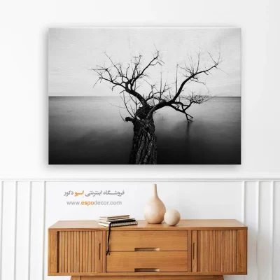 تابلو هنری سیاه و سفید مخصوص پذیرایی - سکون ابدی – تابلو سیاه و سفید - اسپو دکور