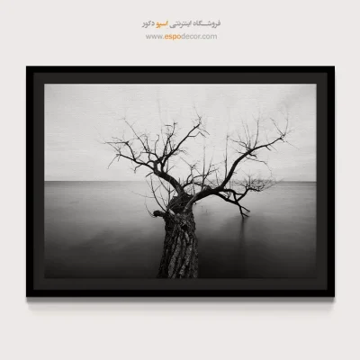 تابلو هنری سیاه و سفید مخصوص پذیرایی - سکون ابدی – تابلو سیاه و سفید - اسپو دکور