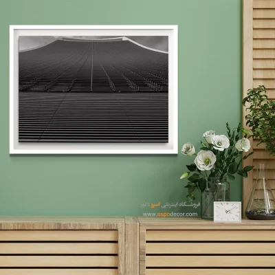 تابلو فانتزی سیاه و سفید جدید با ارسال رایگان