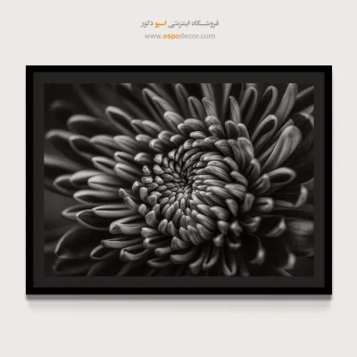 خرید تابلو سیاه و سفید برای اتاق لوکس