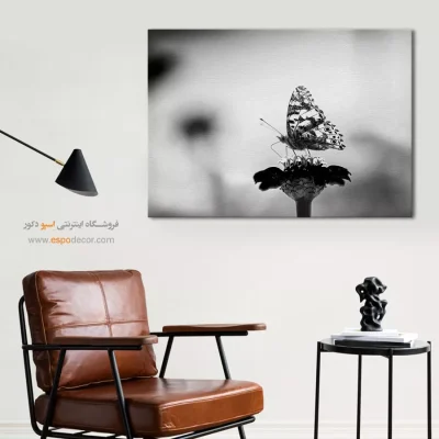 تابلو پروانه سیاه و سفید - ظرافت – تابلو سیاه و سفید - اسپو دکور