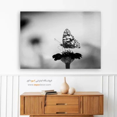 تابلو پروانه سیاه و سفید - ظرافت – تابلو سیاه و سفید - اسپو دکور