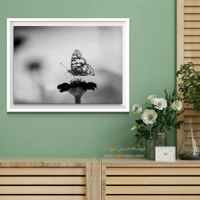 تابلو پروانه سیاه و سفید - ظرافت – تابلو سیاه و سفید - اسپو دکور