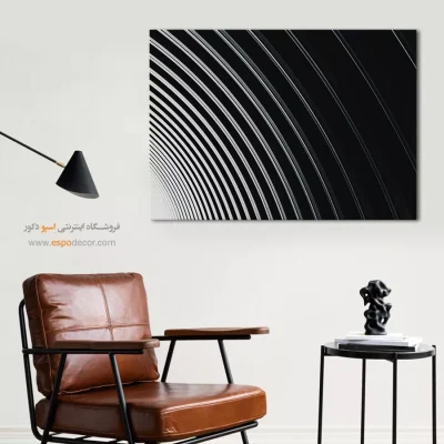 تابلو بوم سیاه و سفید مخصوص پذیرایی