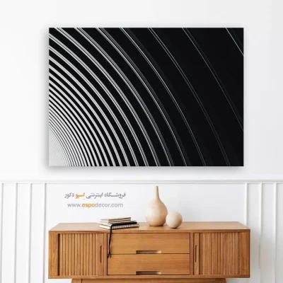 تابلو بوم سیاه و سفید مخصوص پذیرایی