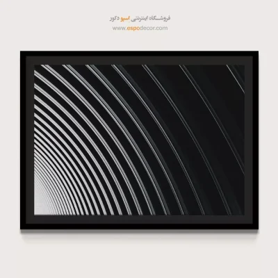 تابلو بوم سیاه و سفید مخصوص پذیرایی