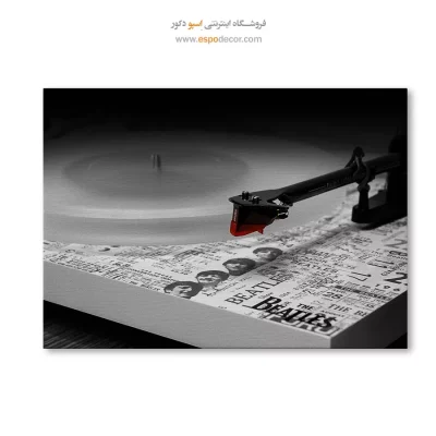 تابلو فانتزی سیاه و سفید دکوراسیون