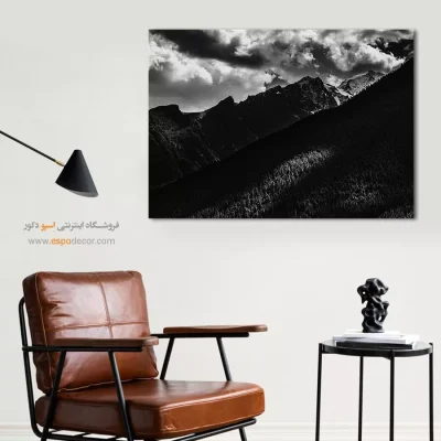 تابلو چاپی سیاه و سفید لوکس برای اتاق خواب