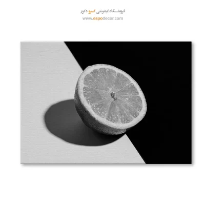 تابلو فانتزی سیاه و سفید مدرن با ارسال رایگان
