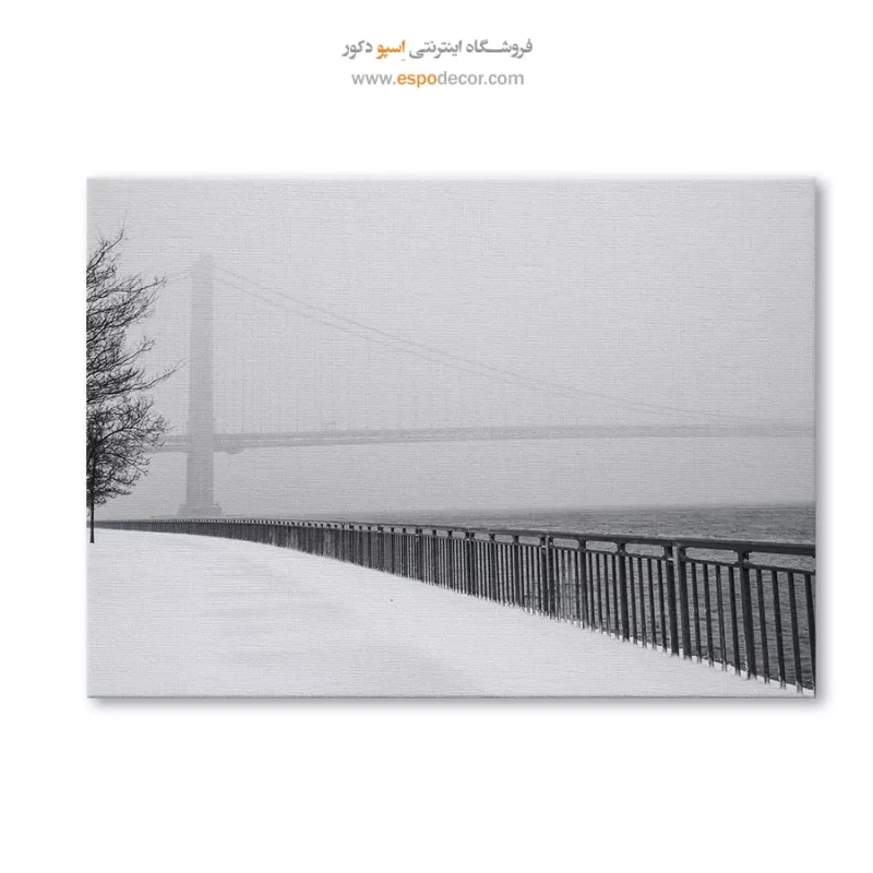 تابلو چاپی سیاه و سفید دکوراسیون