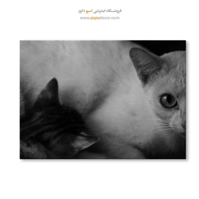 تابلو چاپی سیاه و سفید ارزان مناسب هدیه