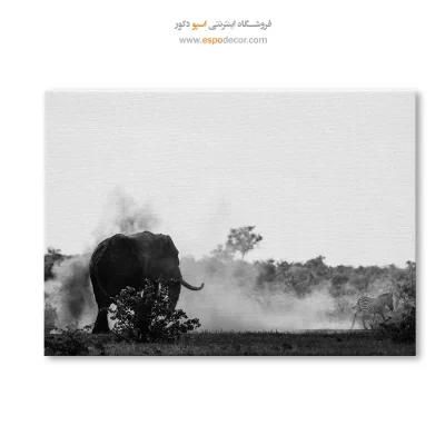 مدل جدید تابلو اتاق خواب سیاه و سفید هدیه