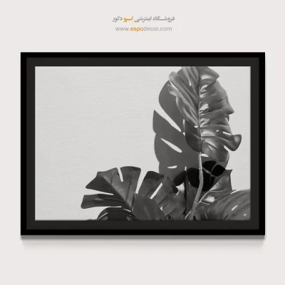 بهترین خرید تابلو سیاه و سفید مدرن - استوایی – تابلو سیاه و سفید - اسپو دکور