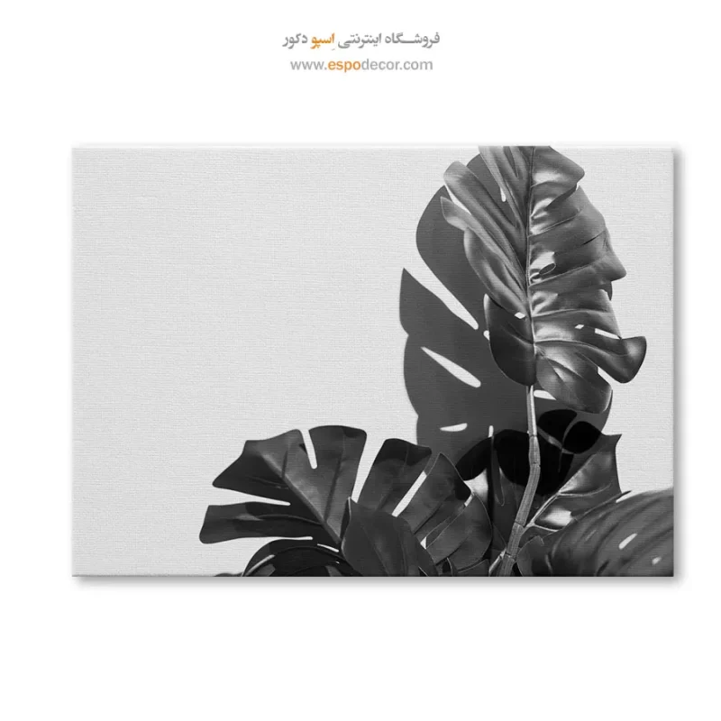طرح خاص تابلو بوم مینیمال شیک