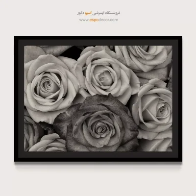 تابلو بوم مینیمال ارزان مدرن