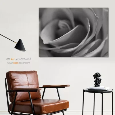 انواع تابلو بوم سیاه و سفید لوکس