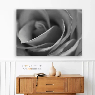 انواع تابلو بوم سیاه و سفید لوکس