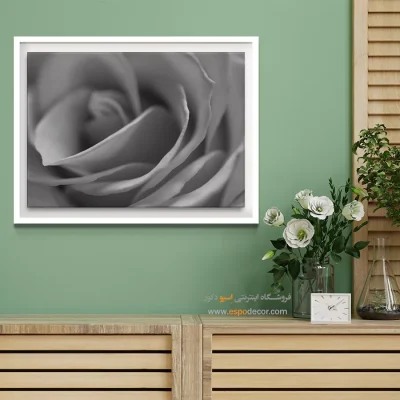 انواع تابلو بوم سیاه و سفید لوکس