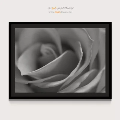 انواع تابلو بوم سیاه و سفید لوکس