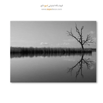 خرید تابلو سیاه و سفید برای اتاق شیک و زیبا