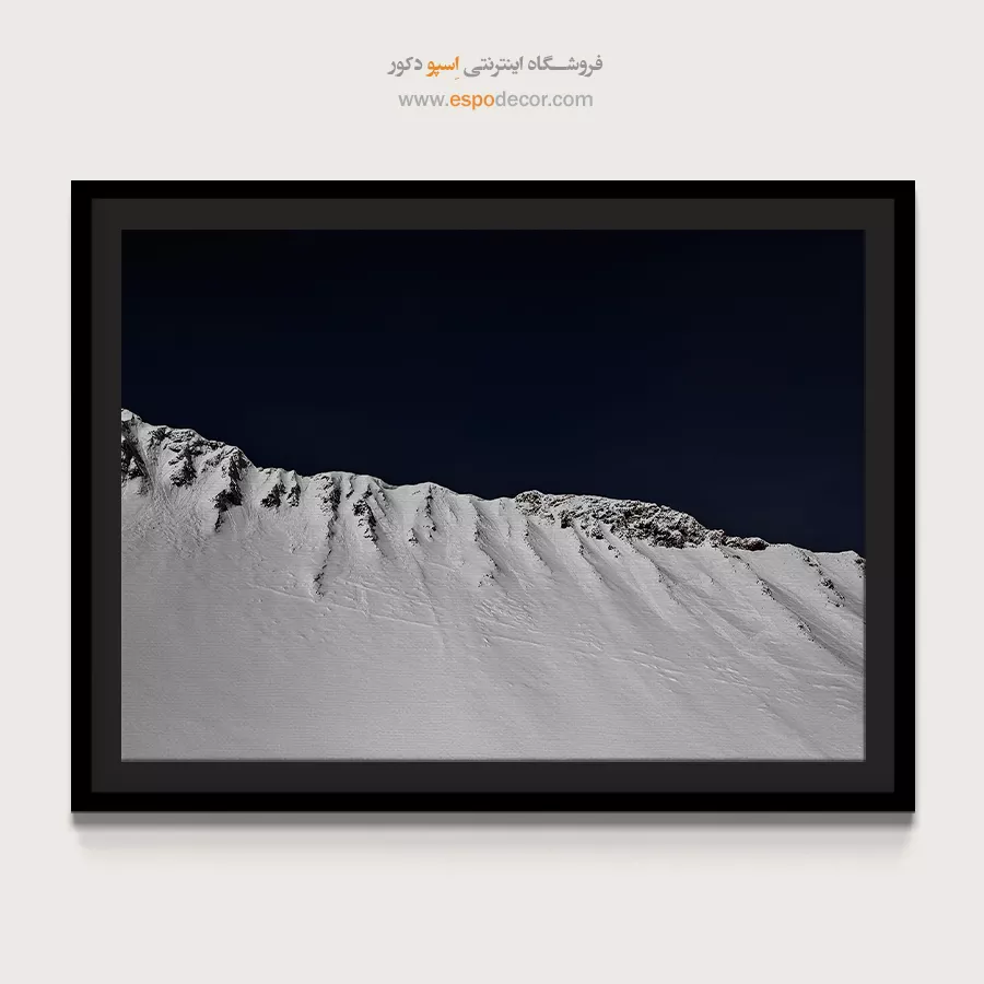 تابلو بوم سیاه و سفید ارزان