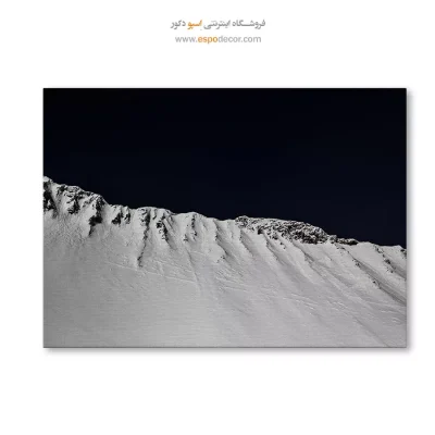 تابلو بوم سیاه و سفید ارزان