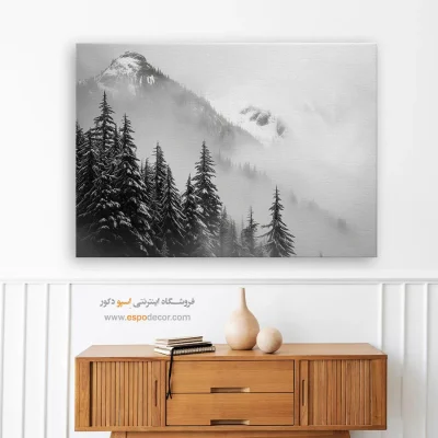 خرید تابلو آرامش‌بخش - مه برف – تابلو سیاه و سفید - اسپو دکور