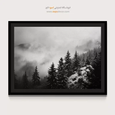 تابلو بوم تابلو بوم سیاه و سفید آنلاین