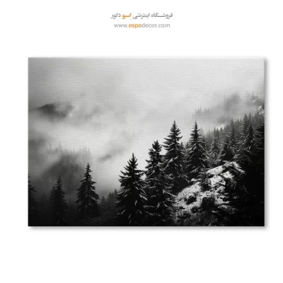 تابلو بوم تابلو بوم سیاه و سفید آنلاین
