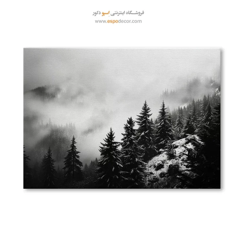 تابلو بوم تابلو بوم سیاه و سفید آنلاین