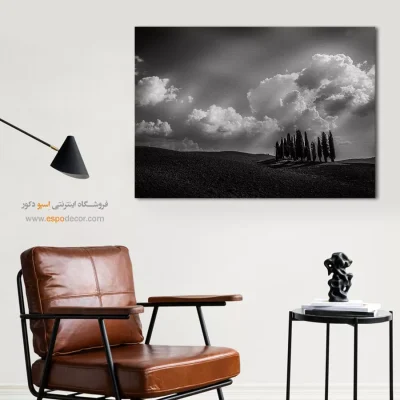 جدیدترین تابلو هنری سیاه و سفید شیک